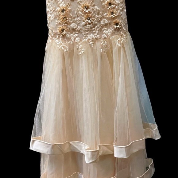 INTOM CASTLE YOUNG LADIES GOWN - Picture 3 of 9